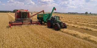 AGRICOLA 003